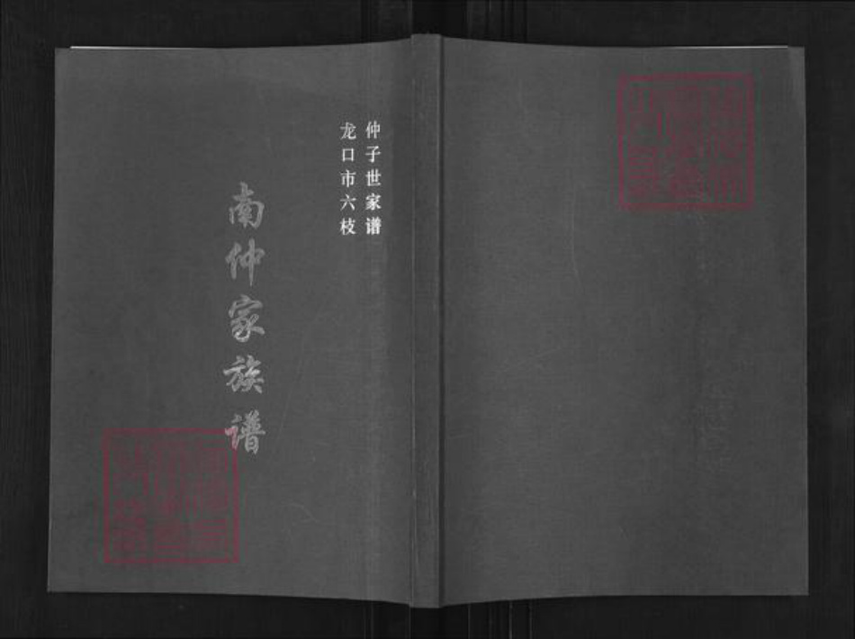 山东省烟台市龙口市北马镇仲氏族谱-南仲家族谱.pdf电子版
