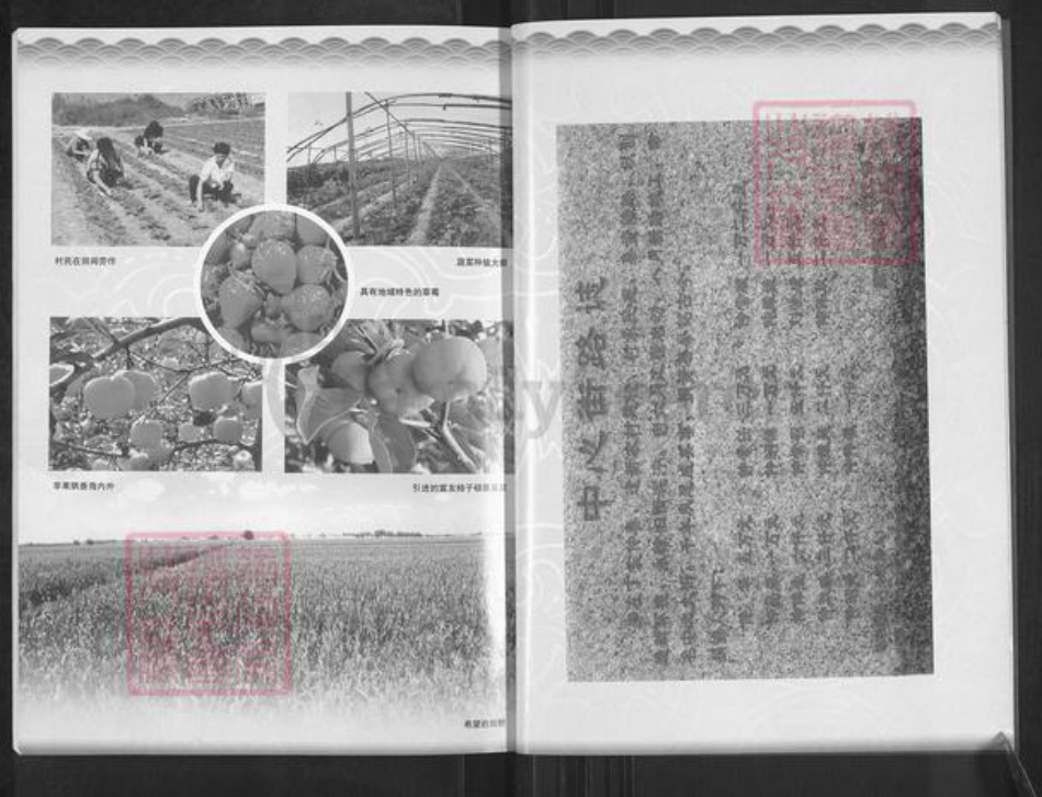 山东省烟台市龙口市北马镇仲氏族谱-南仲家族谱.pdf电子版插图5 山东省烟台市龙口市北马镇仲氏族谱-南仲家族谱.pdf电子版插图5