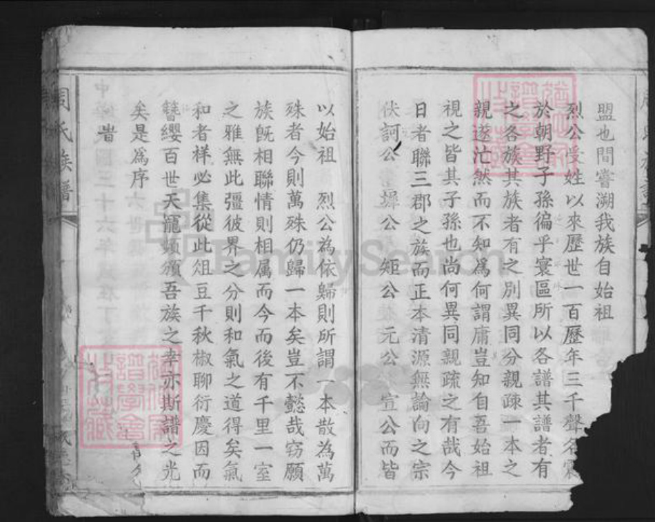 江西省赣州市兴国县龙口镇周氏成德堂族谱-周氏族谱.pdf电子版插图3