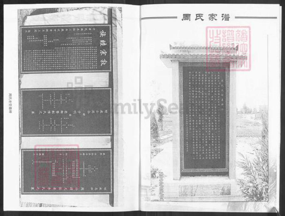 山东省淄博市淄川区周氏族谱-周氏族谱.pdf电子版插图4