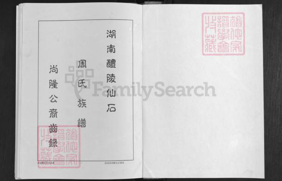 湖南省株洲市醴陵市浦口镇周氏汝南堂族谱-湖南醴陵仙石.周氏六修族谱.尚隆公裔齿录.pdf电子版插图1