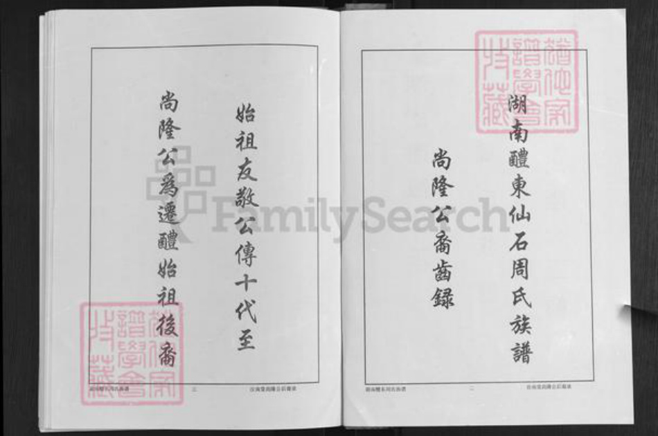 湖南省株洲市醴陵市浦口镇周氏汝南堂族谱-湖南醴陵仙石.周氏六修族谱.尚隆公裔齿录.pdf电子版插图2