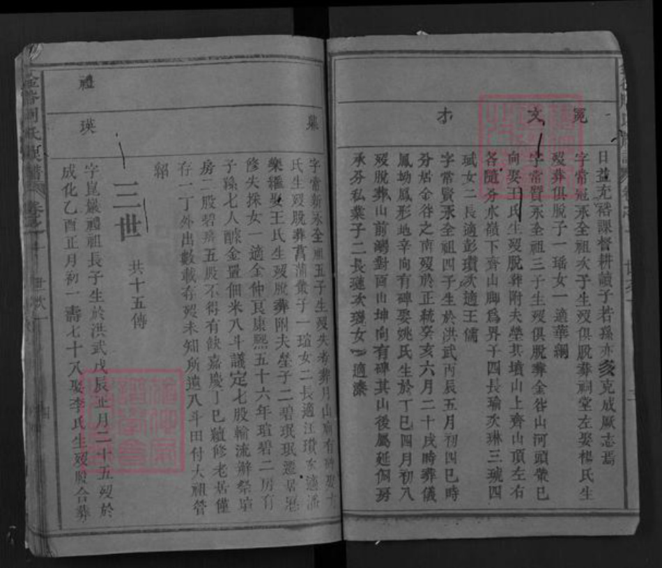 湖北省黄冈市浠水县洗马镇周氏族谱-金谷周氏族谱.pdf电子版插图3