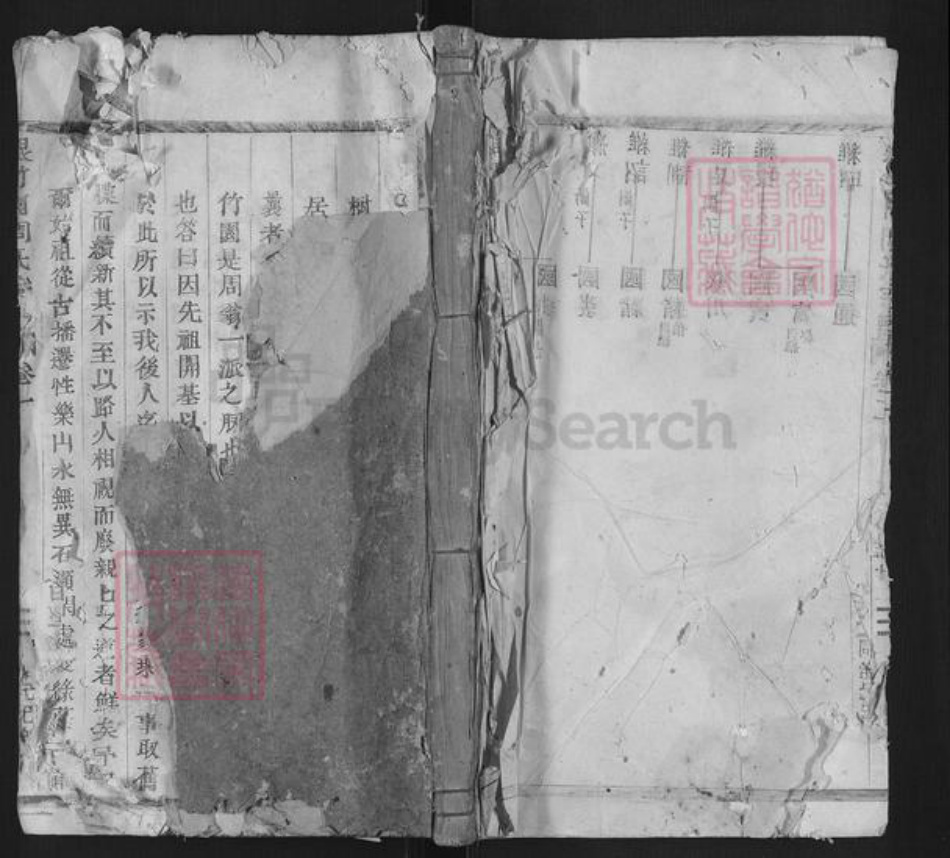 浙江省丽水市莲都区仙渡乡周氏族谱-根竹园周氏宗谱.pdf电子版