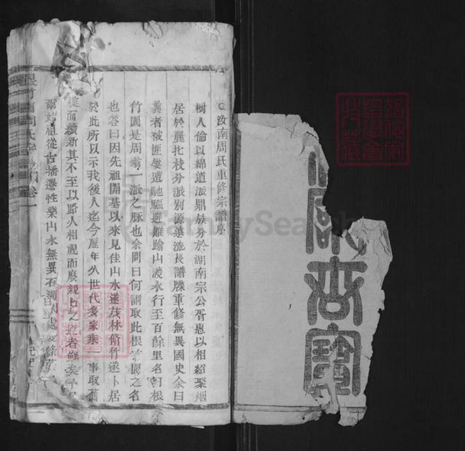 浙江省丽水市莲都区仙渡乡周氏族谱-根竹园周氏宗谱.pdf电子版插图1