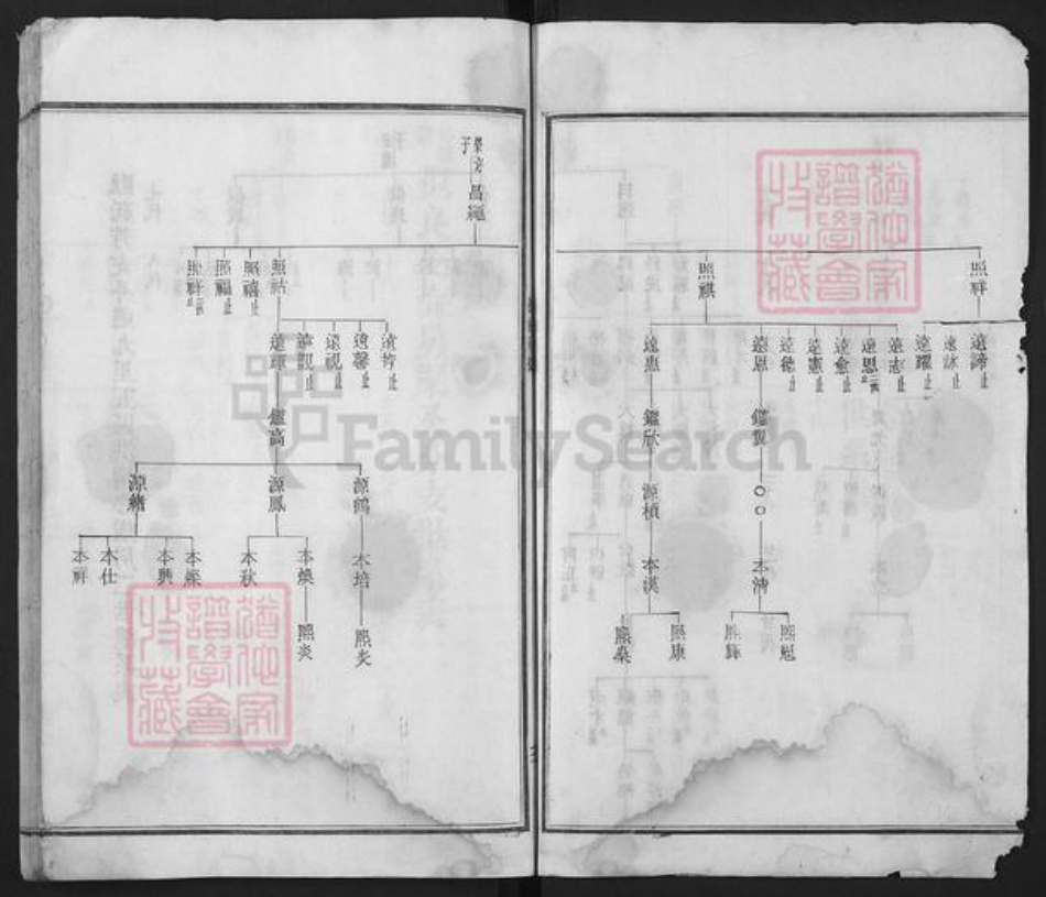 湖南省益阳市周氏族谱-周氏世谱.pdf电子版插图3