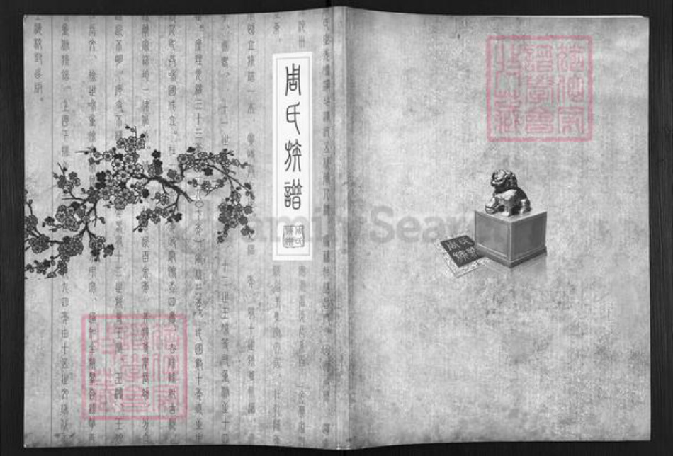 安徽省滁州市天长市铜城镇周氏汝南堂族谱-周氏族谱.pdf电子版