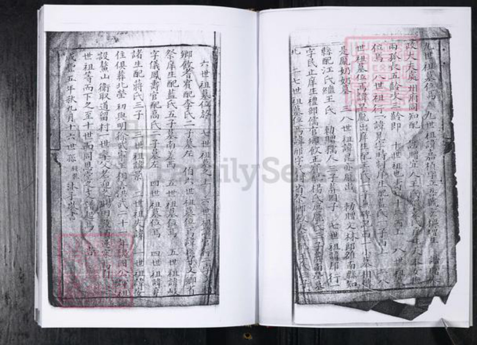 山东省青岛市周氏族谱-周氏族谱.留村同恩堂.pdf电子版插图3