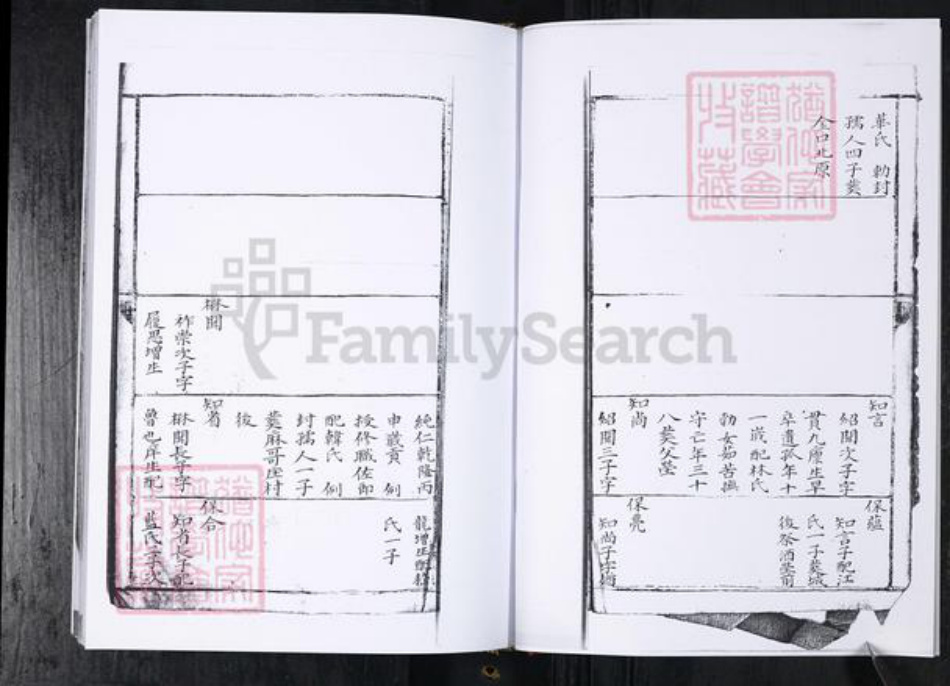 山东省青岛市周氏族谱-周氏族谱.留村同恩堂.pdf电子版插图5