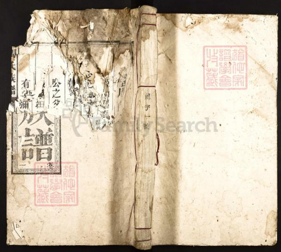 湖南省郴州市宜章县里田镇周氏贻谋堂族谱-周氏族谱.pdf电子版