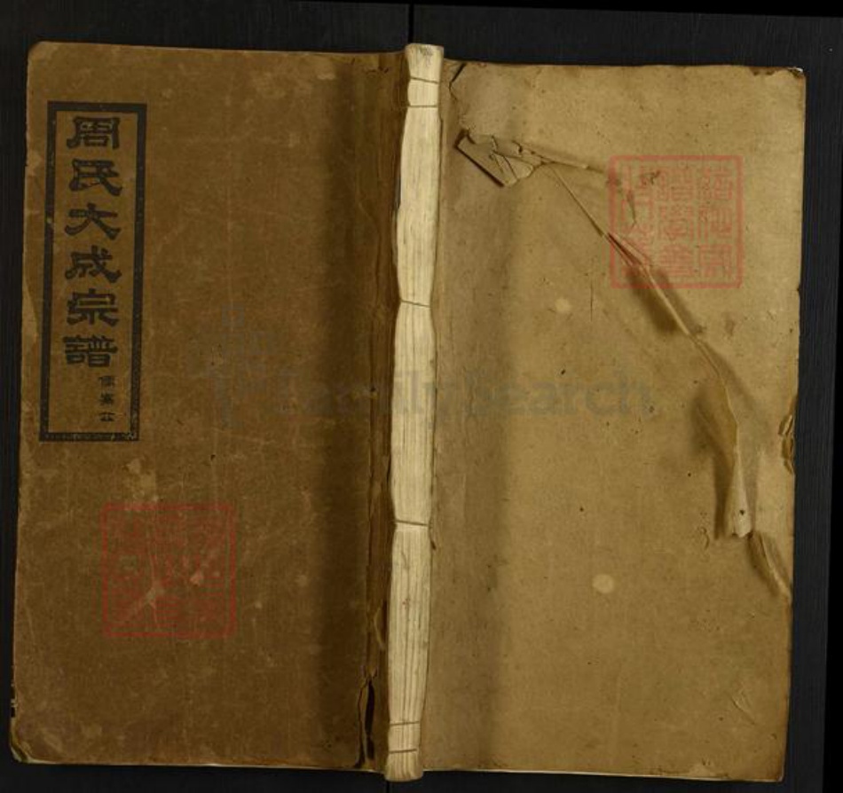 湖南省岳阳市周氏汝南堂族谱-周氏大成宗谱.儒骞公.pdf电子版