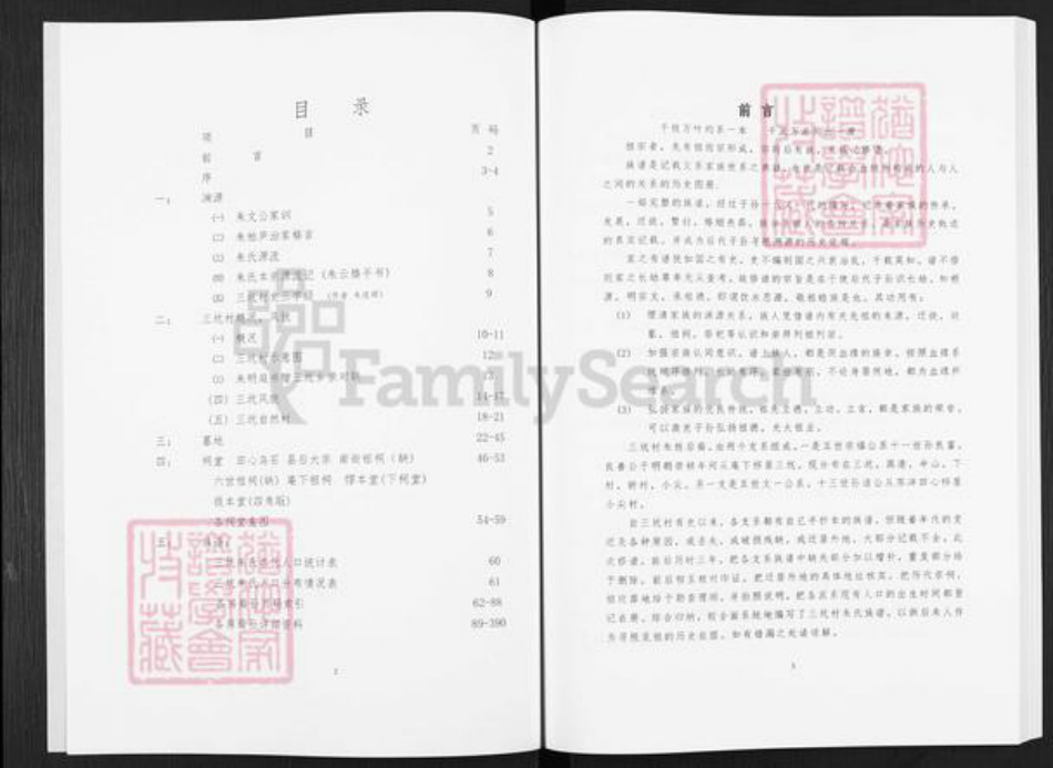 福建省漳州市平和县霞寨镇朱氏惇本堂族谱-三坑朱氏族谱.pdf电子版插图2