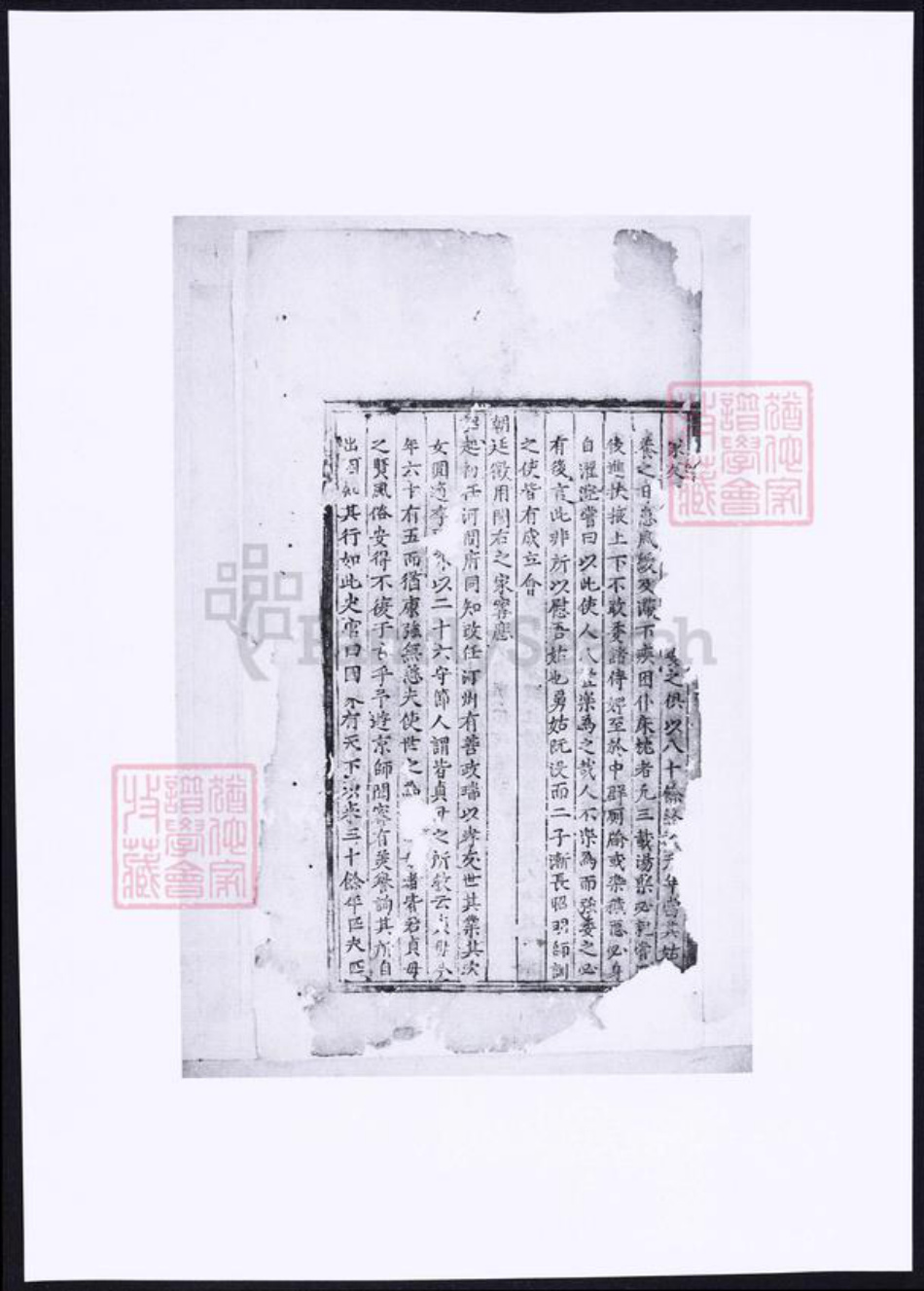 浙江省金华市朱氏族谱-金华西古坊南溪朱氏宗谱.pdf电子版插图3 浙江省金华市朱氏族谱-金华西古坊南溪朱氏宗谱.pdf电子版插图3