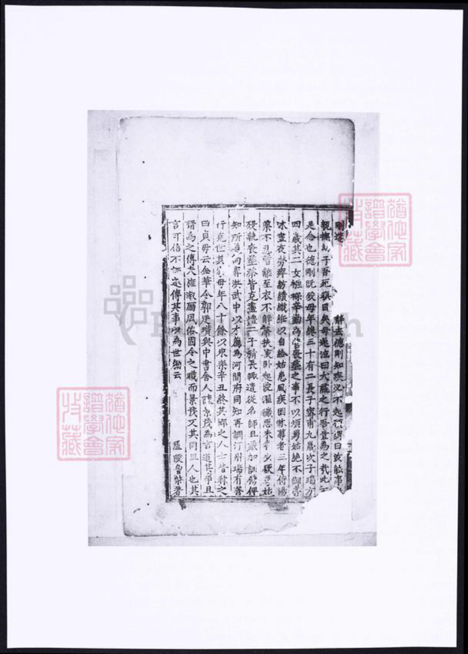 浙江省金华市朱氏族谱-金华西古坊南溪朱氏宗谱.pdf电子版插图5 浙江省金华市朱氏族谱-金华西古坊南溪朱氏宗谱.pdf电子版插图5