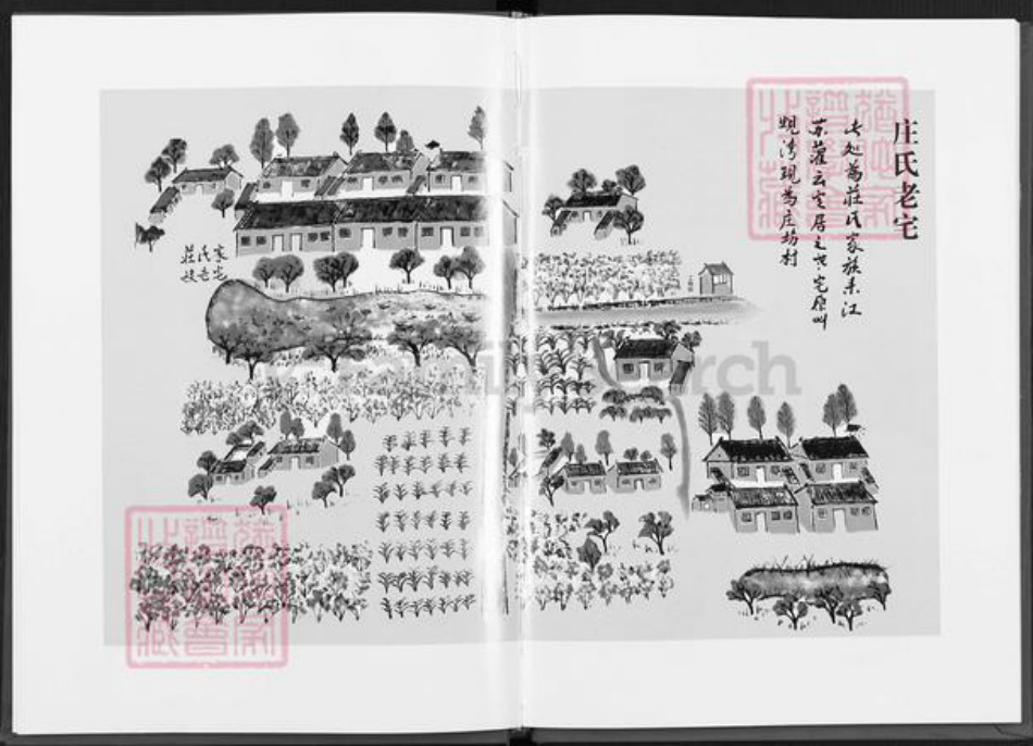 江苏省连云港市灌云县杨集镇庄氏南华堂族谱-庄氏家谱.pdf电子版插图3