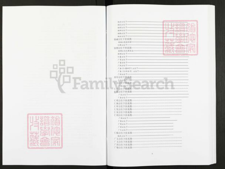 吉林省长春市农安县庄氏七星堂族谱-庄氏家谱.pdf电子版插图3