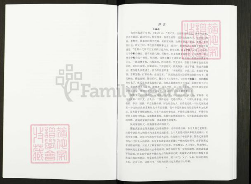 吉林省长春市农安县庄氏七星堂族谱-庄氏家谱.pdf电子版插图5