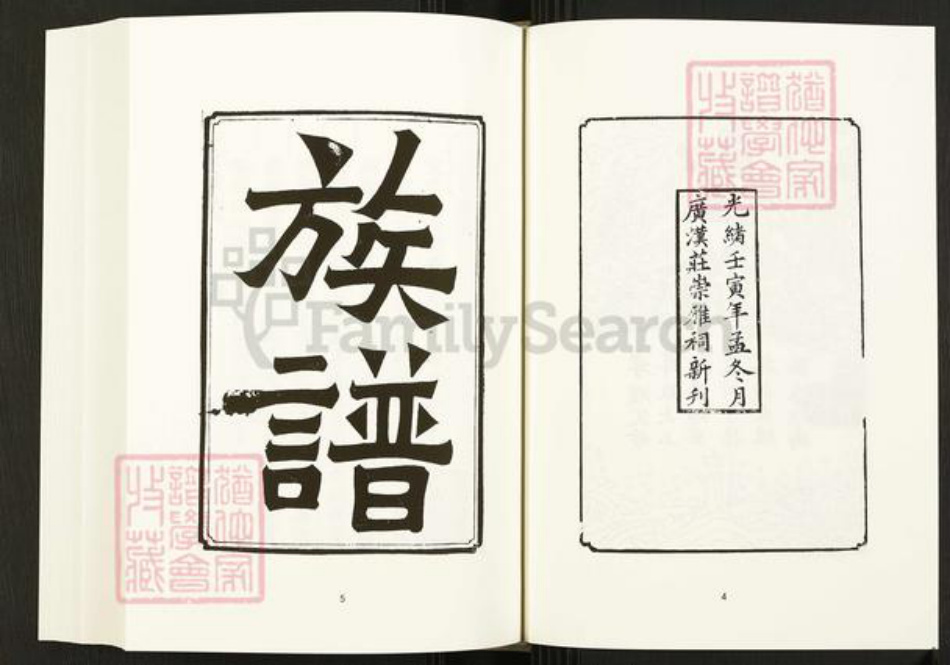 四川省四川省庄氏崇雅堂族谱-中国珍稀家谱丛刊.四川家谱.第16册.庄氏族谱.pdf电子版插图5