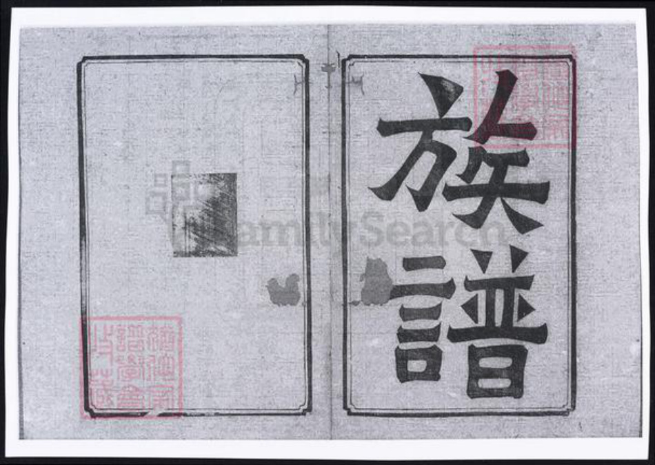 四川省遂宁市大英县庄氏族谱-庄氏族谱.pdf电子版插图2