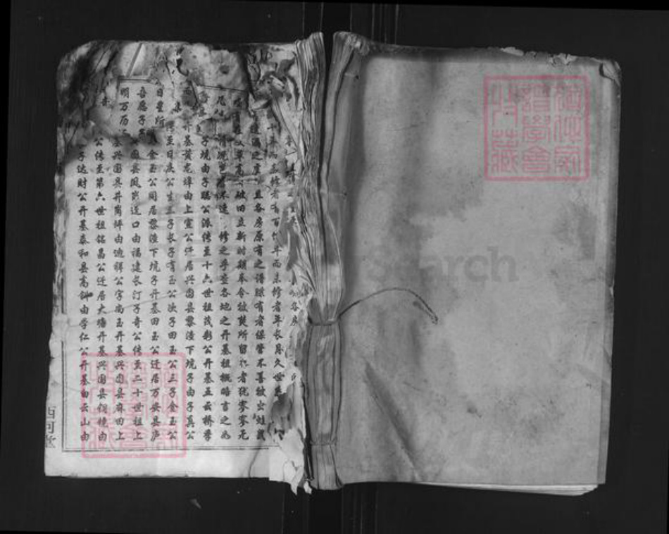 广东省梅州市平远县卓氏西河堂族谱-卓氏联修族谱.pdf电子版