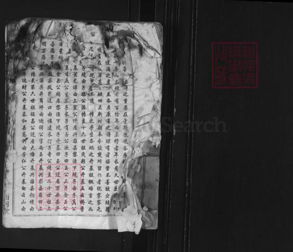 广东省梅州市平远县卓氏西河堂族谱-卓氏联修族谱.pdf电子版插图1