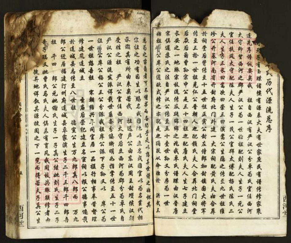 福建省龙岩市连城县卓氏西河堂族谱-卓氏联修族谱.pdf电子版插图4