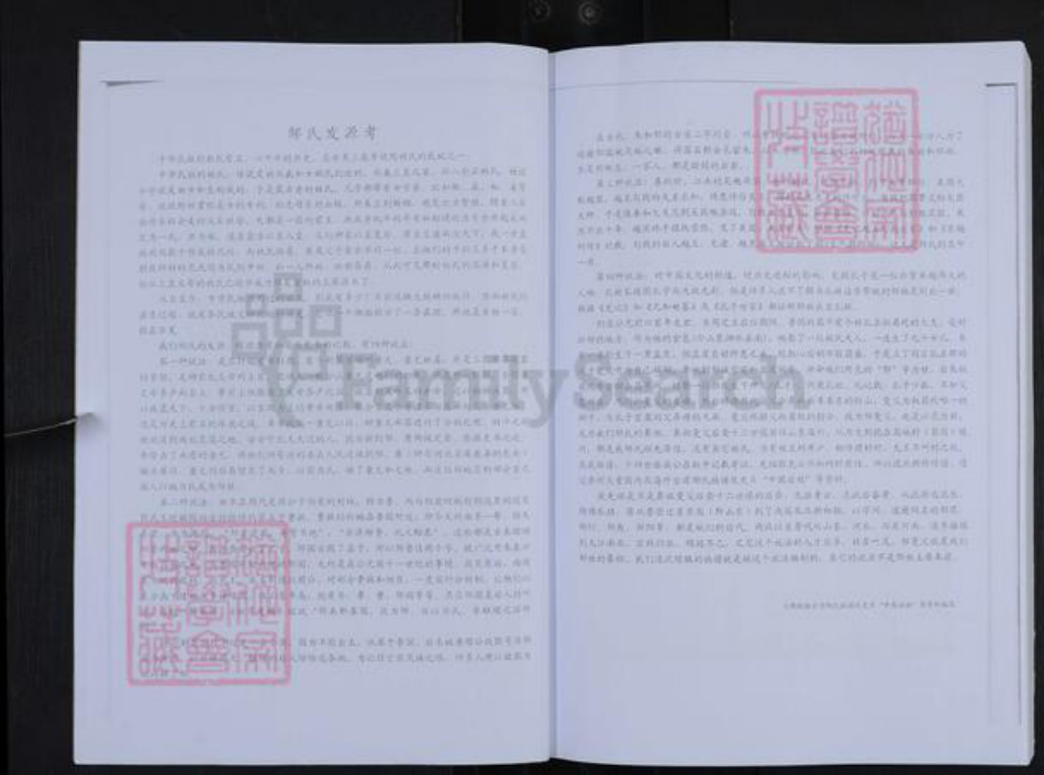 山东省淄博市张店区沣水镇邹氏族谱-昌城邹氏世谱.pdf电子版插图3