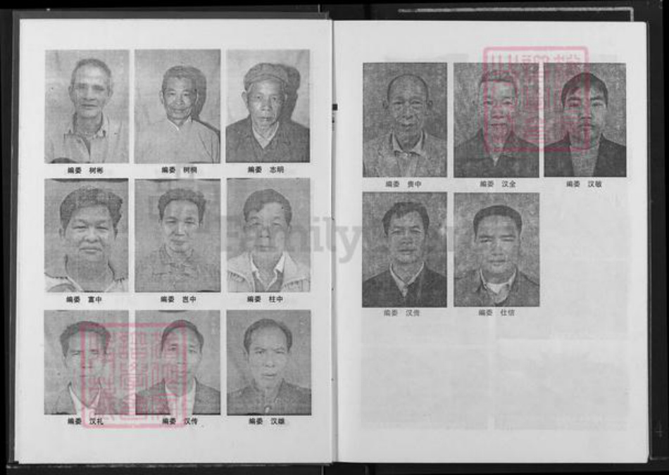 广西壮族自治区玉林容县石头镇邹氏族谱-桂东南邹氏族谱.pdf电子版插图4