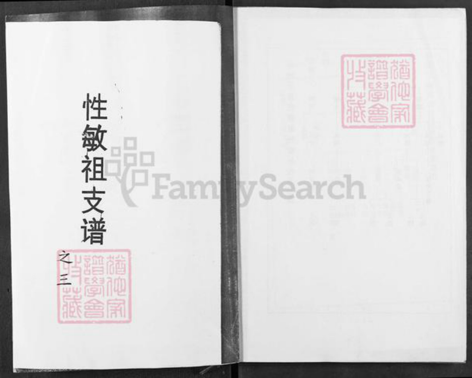 湖南省怀化市溆浦县龙潭镇邹氏族谱-性敏祖支谱.pdf电子版