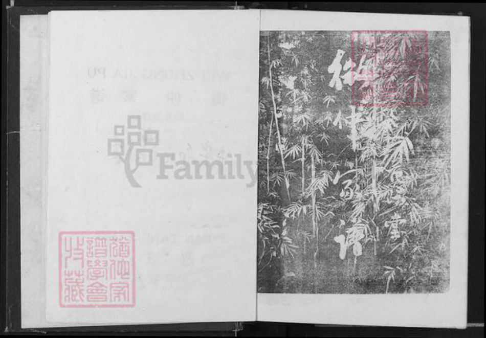 江西省吉安市吉水县邹氏范阳堂族谱-微仲家谱.pdf电子版插图2