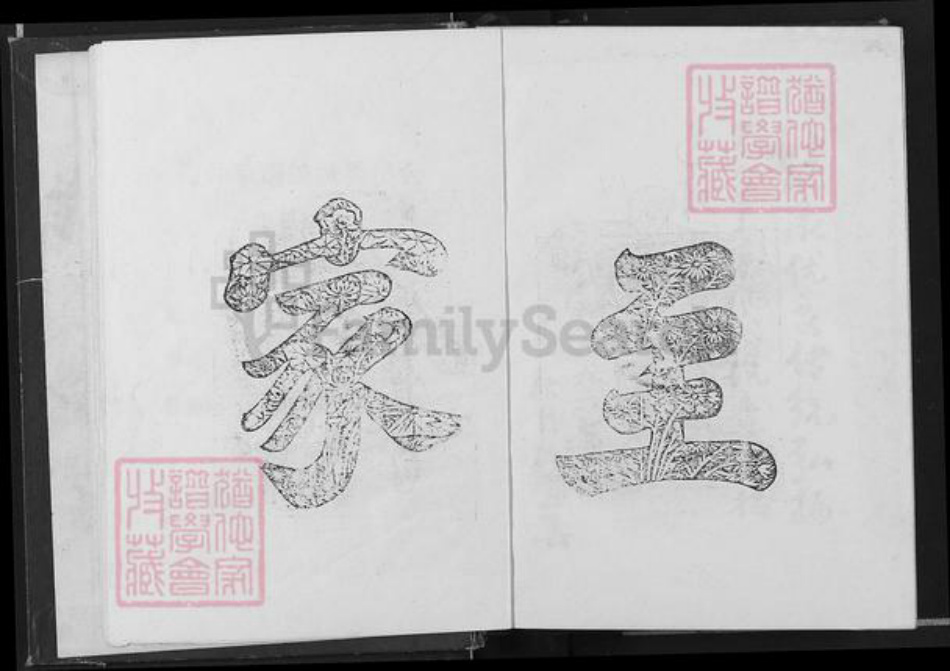 江西省吉安市吉水县邹氏范阳堂族谱-微仲家谱.pdf电子版插图4