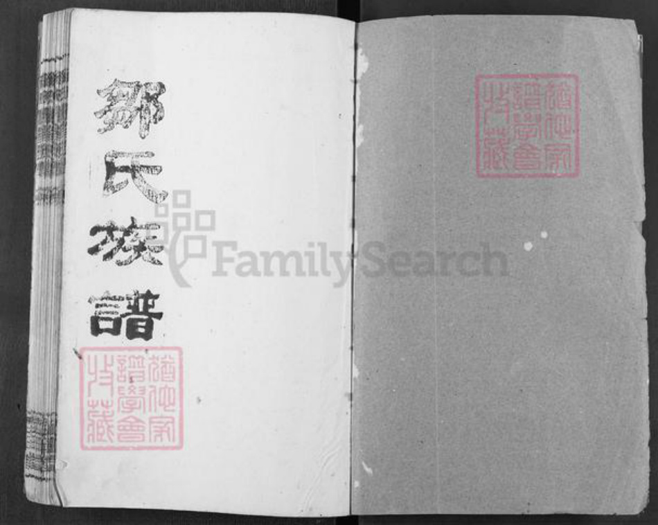 湖南省岳阳市邹氏范阳堂族谱-邹氏族谱.pdf电子版插图1