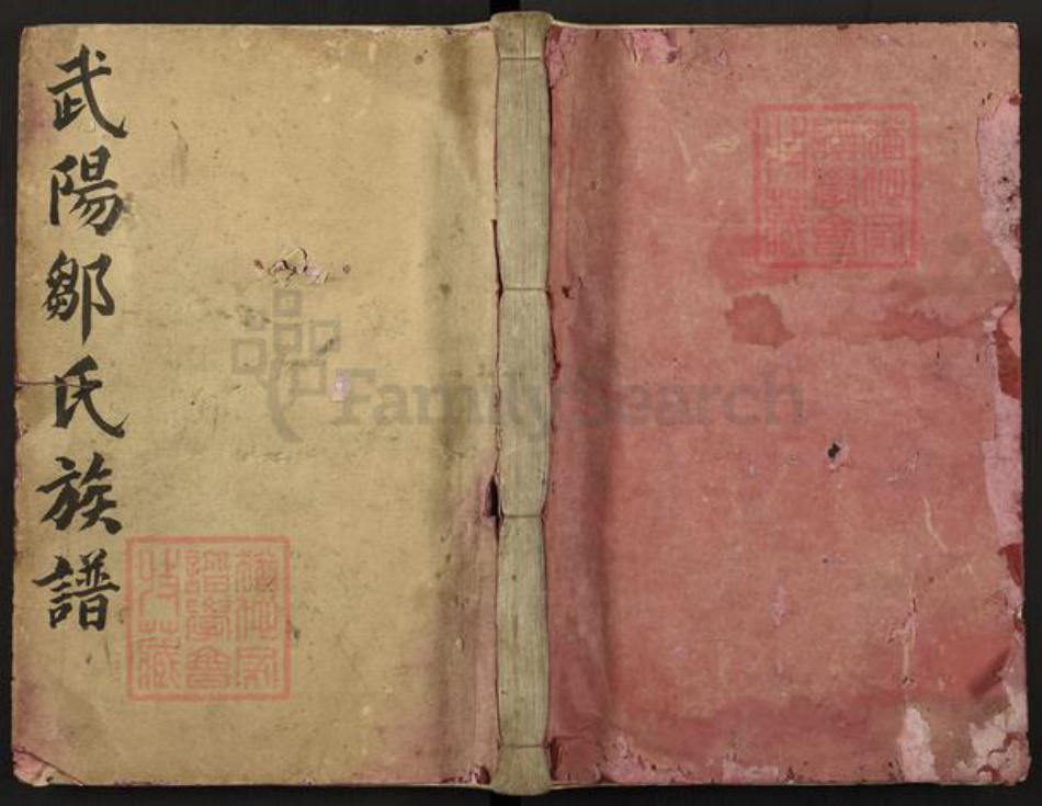 江西省赣州市瑞金市武阳镇邹氏族谱-瑞金武阳邹氏族谱.pdf电子版