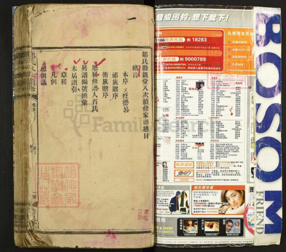 湖南省衡阳市衡阳县金兰镇邹氏睦亲堂族谱-邹氏八修续修.pdf电子版插图1