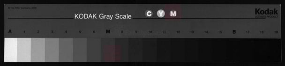 福建省福州市永泰县邹氏族谱-永泰长治邹氏族谱 [5篇].pdf电子版