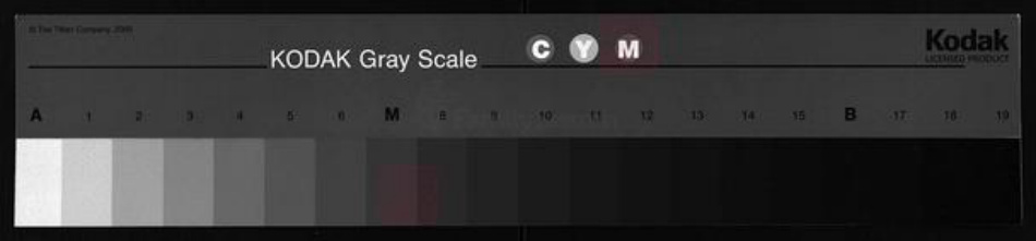 广东省汕头市揭阳县广西壮族自治区江西省邹氏族谱-邹氏联宗族谱.pdf电子版