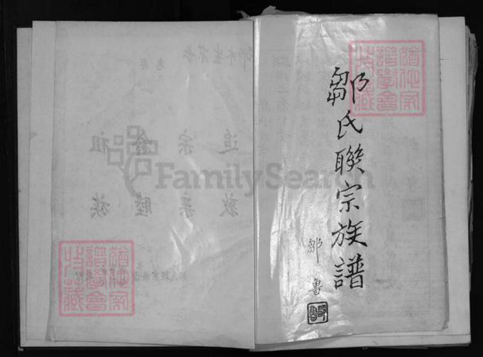 广东省汕头市揭阳县广西壮族自治区江西省邹氏族谱-邹氏联宗族谱.pdf电子版插图3