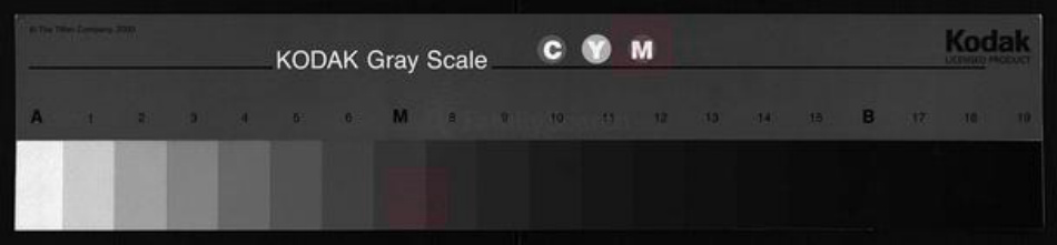 湖北省江西省邹氏族谱-邹氏史志.pdf电子版