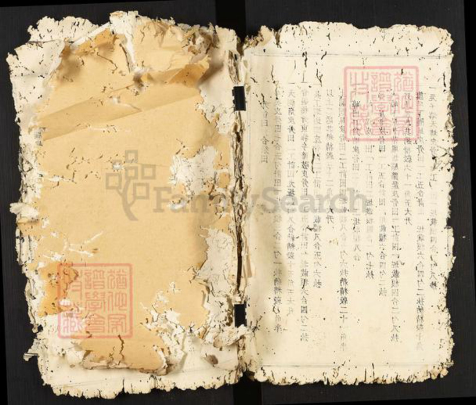 江西省南昌市南昌县武阳镇邹氏族谱-瑞金武阳邹氏族谱.pdf电子版