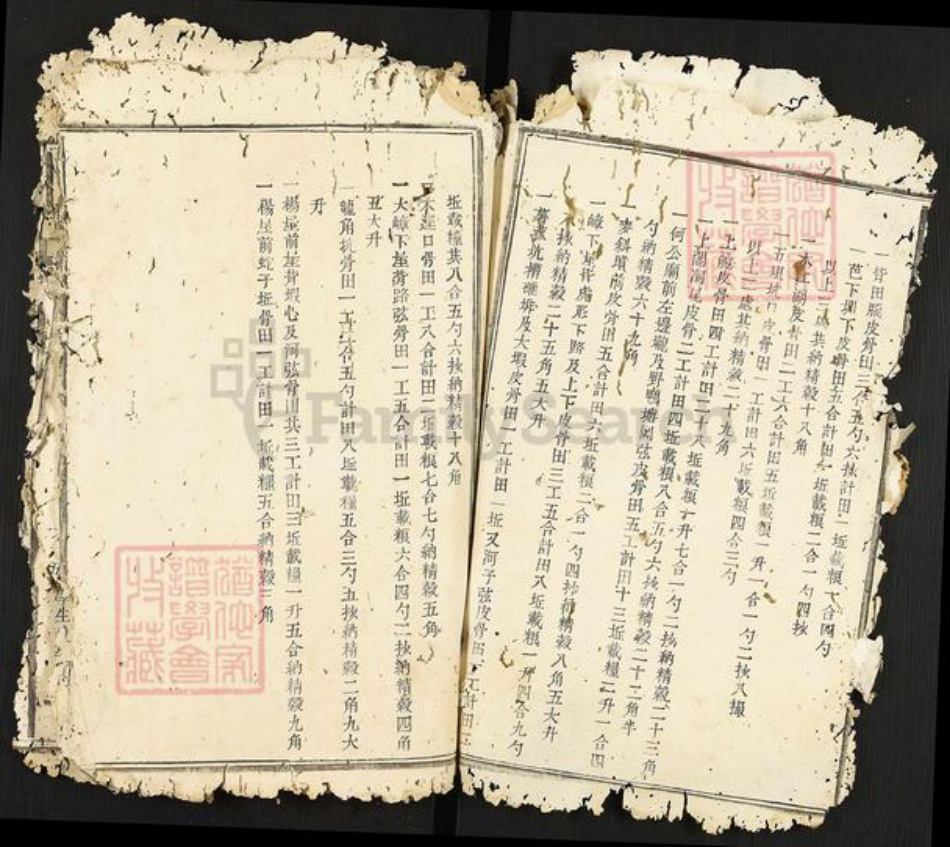 江西省南昌市南昌县武阳镇邹氏族谱-瑞金武阳邹氏族谱.pdf电子版插图2