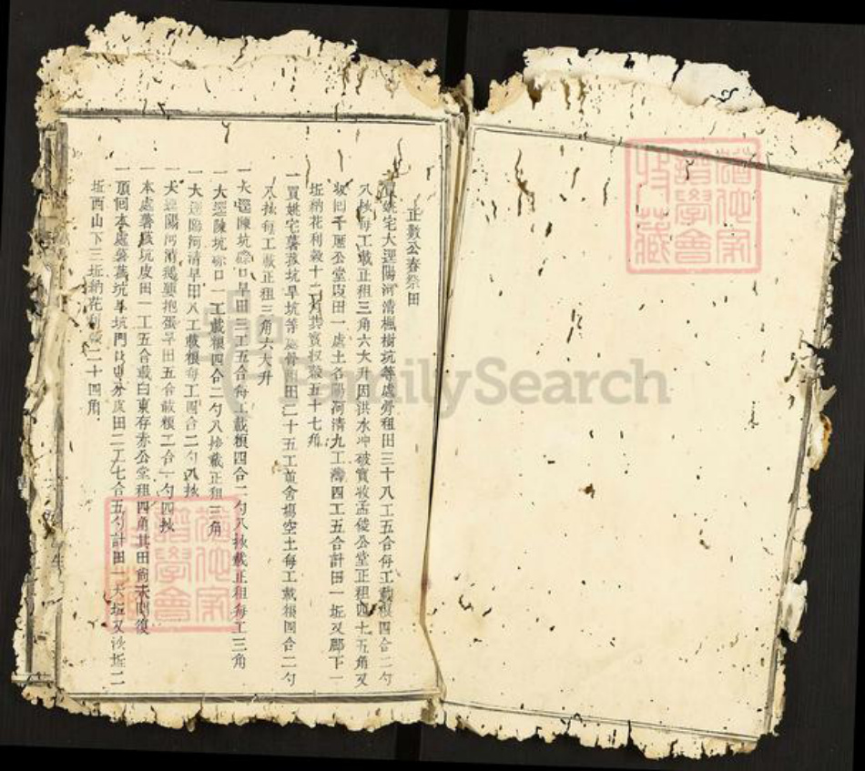 江西省南昌市南昌县武阳镇邹氏族谱-瑞金武阳邹氏族谱.pdf电子版插图3