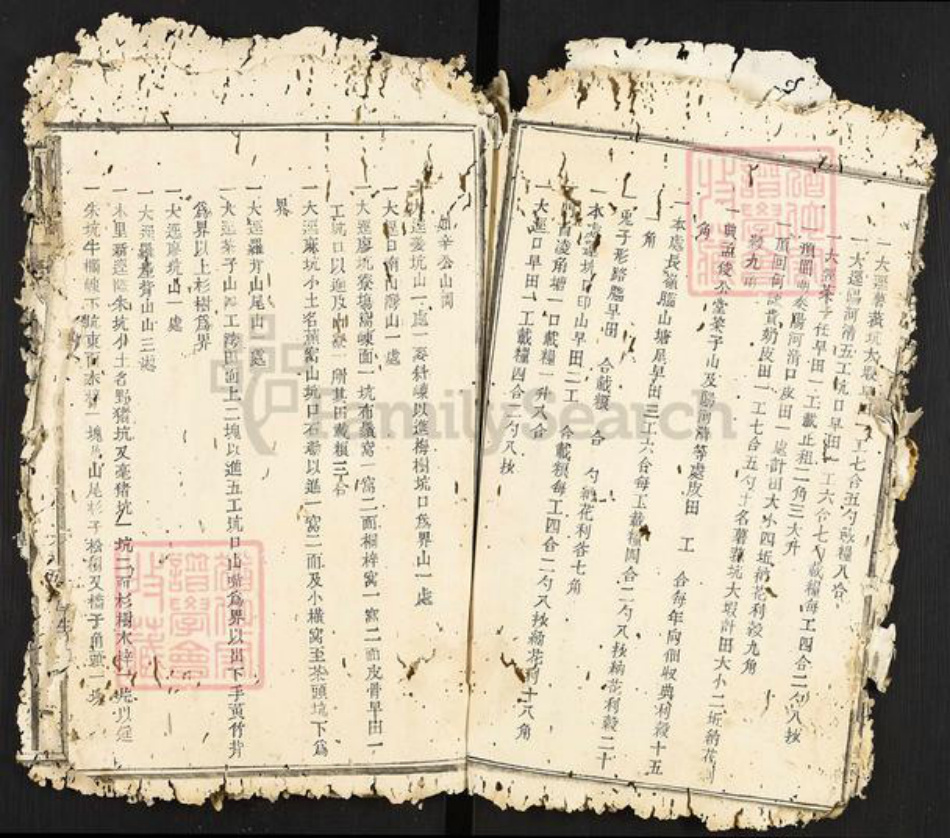 江西省南昌市南昌县武阳镇邹氏族谱-瑞金武阳邹氏族谱.pdf电子版插图4