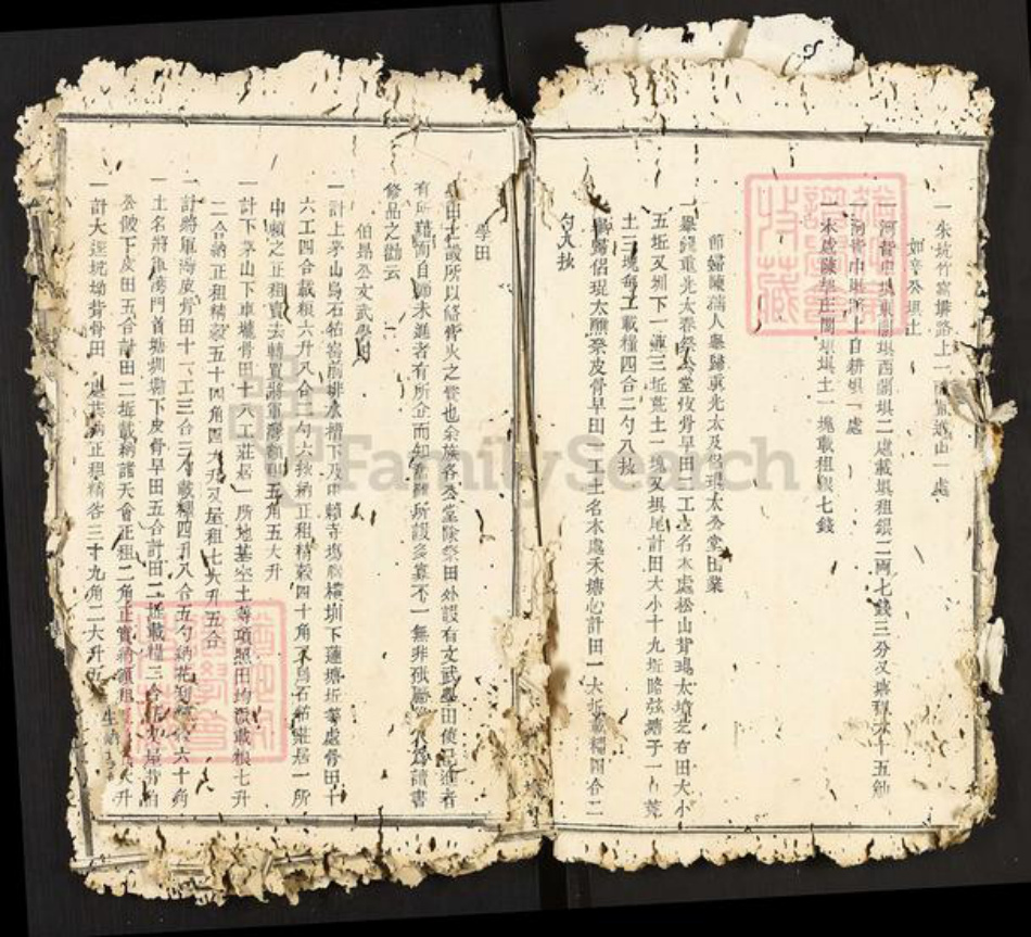 江西省南昌市南昌县武阳镇邹氏族谱-瑞金武阳邹氏族谱.pdf电子版插图5