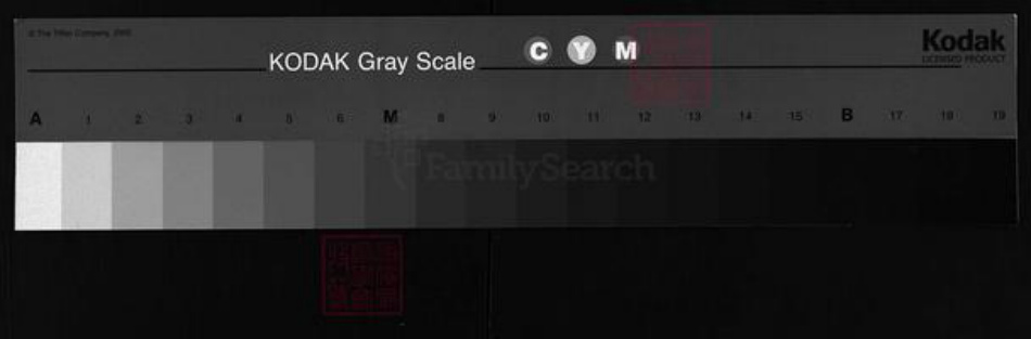 湖北省咸宁市蒲圻市江西省九江市修水县湖北省咸宁市嘉鱼县湖北省黄石市阳新县邹氏范阳堂族谱-邹氏宗谱.pdf电子版