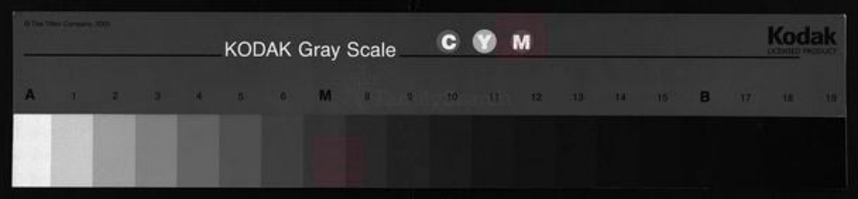 湖北省黄冈市黄州区邹氏东鲁堂族谱-邹氏宗谱 [10卷].pdf电子版