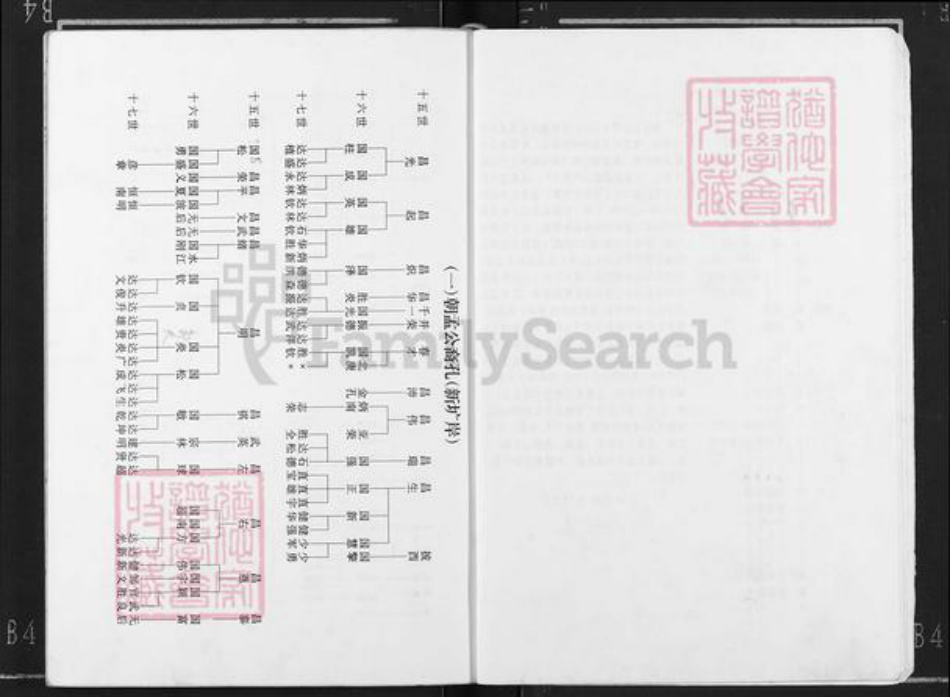 广西壮族自治区贵港市港南区新塘镇邹氏族谱-邹氏族谱.pdf电子版插图5