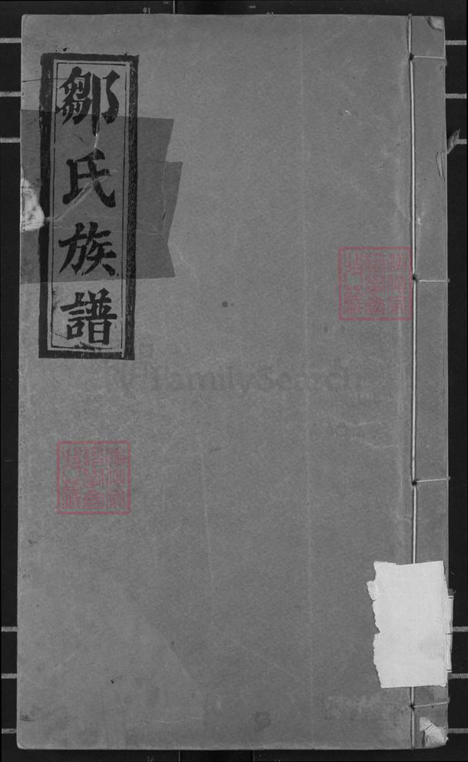 广东省河源市龙川县田心镇邹氏范阳堂族谱-邹氏族谱.pdf电子版