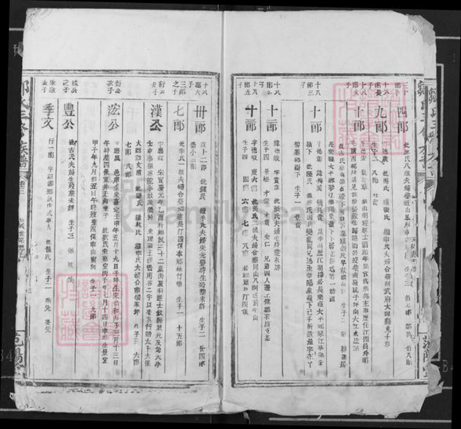 江西省赣州市瑞金市武阳镇邹氏范阳堂族谱-邹氏三修族谱.pdf电子版插图3 江西省赣州市瑞金市武阳镇邹氏范阳堂族谱-邹氏三修族谱.pdf电子版插图3