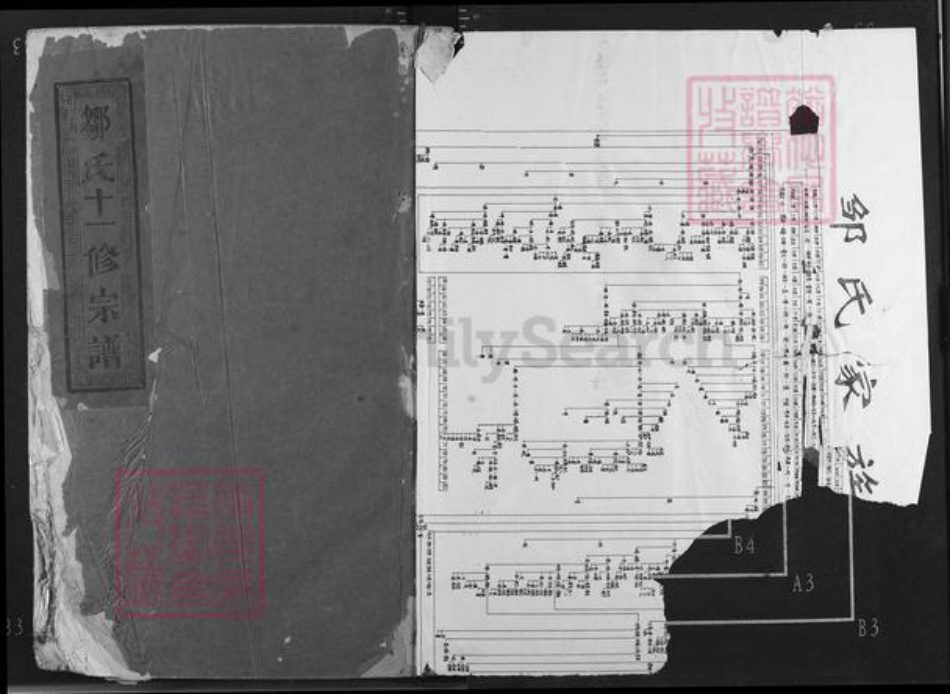 江西省抚州市临川区邹氏族谱-邹氏十一修宗谱.pdf电子版插图1