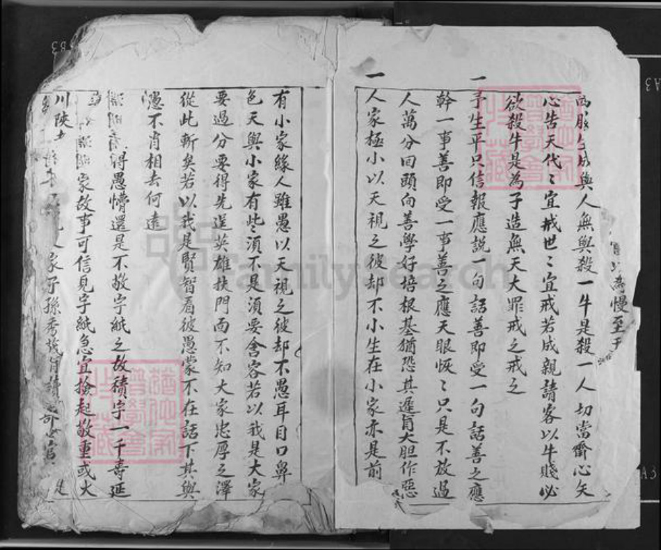 江西省吉安市吉水县双村镇邹氏族谱-邹氏草谱.pdf电子版插图2 江西省吉安市吉水县双村镇邹氏族谱-邹氏草谱.pdf电子版插图2